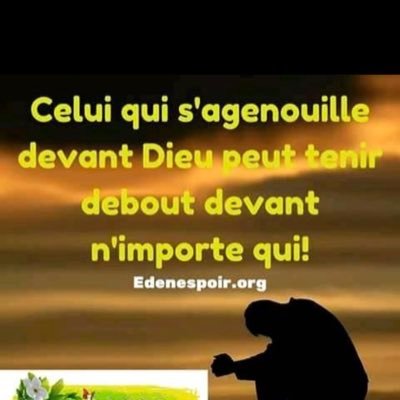 bachir13090's profile picture. 