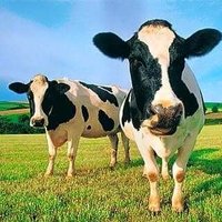 Charlie Stump (@charliestump2) 's Twitter Profile