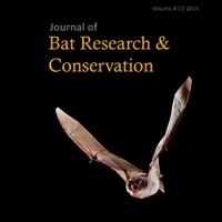 Journal of Bat Research & Conservation(@BarbastellaJ) 's Twitter Profile Photo