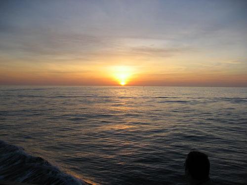 The best ocean adventures creating life long memories daily