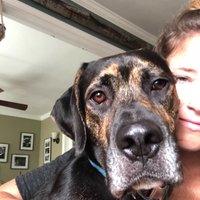 Katie Mccue (@mskatieap) 's Twitter Profile