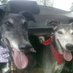 ❤ Tipper and Bob ❤ (@tipperandbob) Twitter profile photo ❤ Tipper and Bob ❤ (@tipperandbob) Twitter profile photo