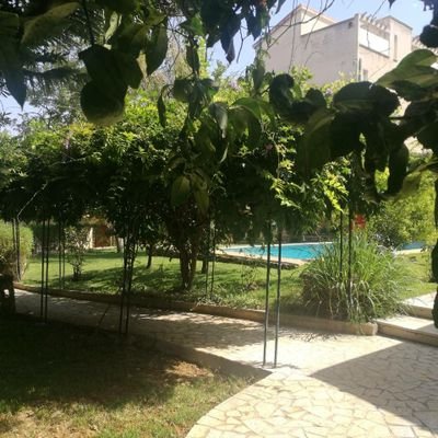 الطيب مايوخذ سلف واستعاره والمرجله ماهيب درسن ودستور والرجل تعرف قيمته من وقاره ما ترفعه شيخه ولا مال وقصور