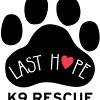 Last Hope K9 Rescue (@lasthopek9) Twitter profile photo