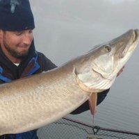BigFish GuideService (@marjamaryan) 's Twitter Profile