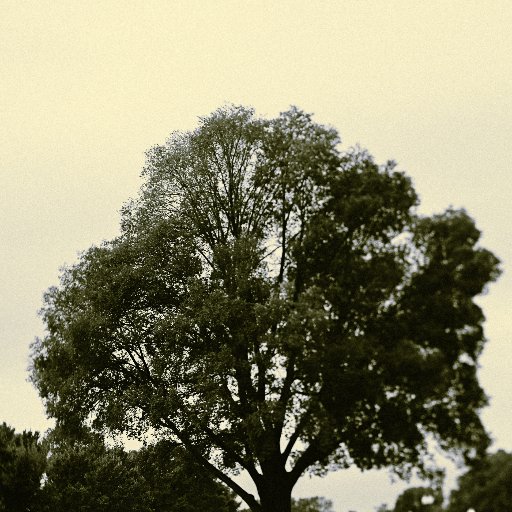 steadyfilm's profile picture. Filmmaker/photographer.