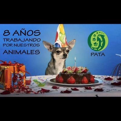 PATA es una organización Colombiana, de actividad mundial, que trabaja para defender el medio ambiente y los derechos de los animales. #FollowBack