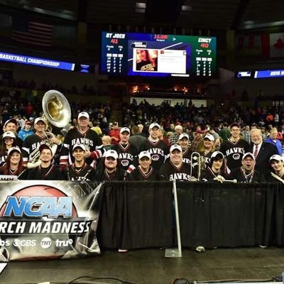 Official Twitter of the Saint Joseph's University Pep Band. We bring the tunes 🎶

#THWND #SoarHigher