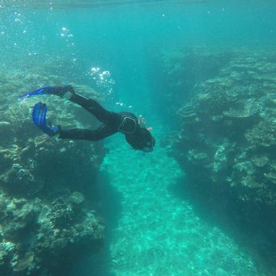 AudreyRoseOcean's profile picture. Next stop, PhD @MEG_MQ 🔬Marine science enthusiast 🐟🦑🐋🦀 Interest in micro plastic impacts in sea life. (views are my own)
