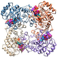 HedstromLab (@hedstromlab) 's Twitter Profile