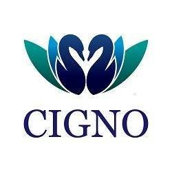 CignoLoans's profile picture. Cigno Loans is the specialist in short-term cash advances. We believe in giving everyone a fair go and consider all applications. https://t.co/PVoEWSkrf6