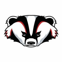 Beebe Bands (@beebebands) 's Twitter Profile