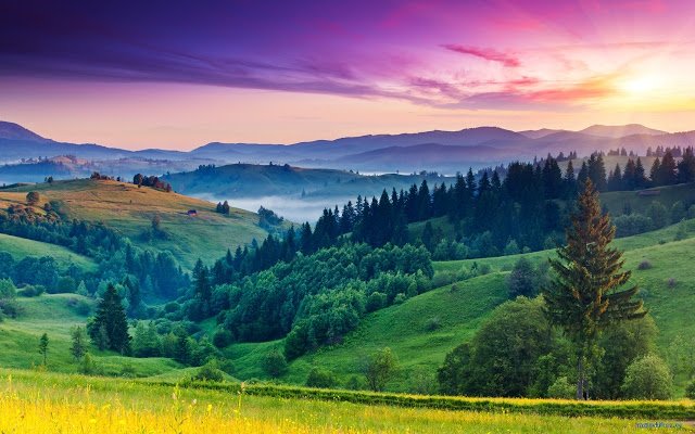 gaurav96993925's profile picture. 