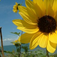 Jack Renwall (@erenwall) 's Twitter Profile