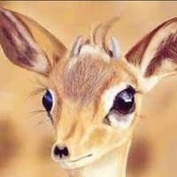 الحساب محذوف (@n97___n) 's Twitter Profile Photo