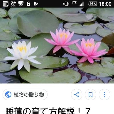 n6b6GppcPXAnbm8's profile picture. 