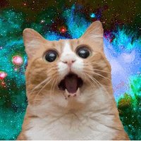FiKus (@shaushkarolande) 's Twitter Profile