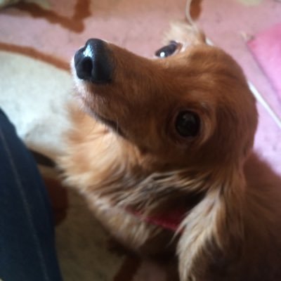 nL51Fd1t13tm9Ej's profile picture. miwa 受験生