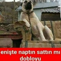 ÇEAŞ Mustafa (@nutubag) 's Twitter Profile