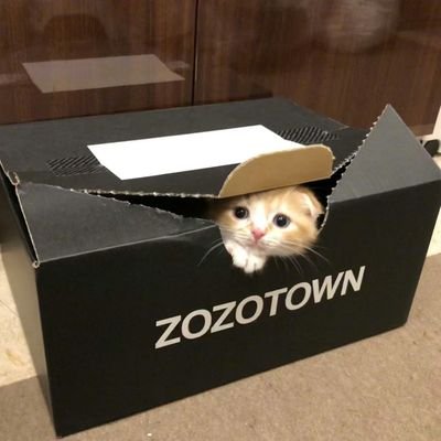 saekos3's profile picture. 松山 誰でもフォローしてください 音楽好きな人と繋がりたい
ギター🎸//WANIMA