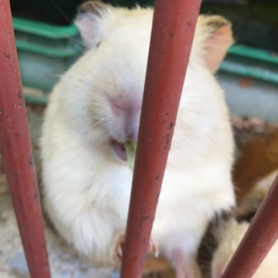 まろまろさんのプロフィール画像