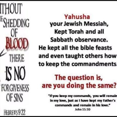 One who believes in the Bible, Conservative , I believe the Constitution as our Forefathers wrote it , My Country,True Americans,NRA, Veterans,President Trump