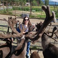 Lisa Hindmon, M.A. Spanish Lit, GE (@mrshindmon_ge) 's Twitter Profile