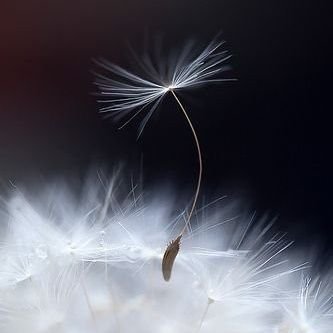 🍃  Wir sind wie Blätter im Wind ... 🎶
Das eine oder andere lese ich auf und ich drehe es vorsichtig in der Hand. 🍁