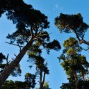 David Evison - @E4Images - Twitter