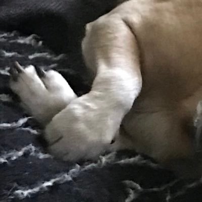 LocBox's profile picture. Army Vet, Indiana CHW/CPS, VA Peer Mentor, Military Sexual Trauma (MST) Peer Support Specialist/Survivor, 2nd Gen Holocaust Survivor and Writer.