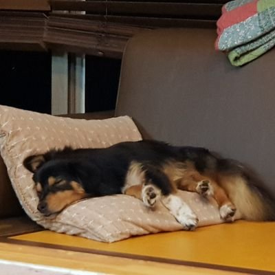 yongjae_lee's profile picture. 