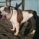 Nathan Marriott - @Naydo8209 - Twitter