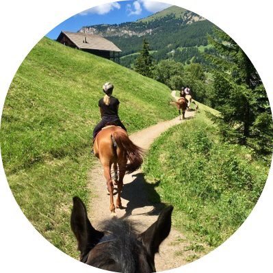 Bin viel zu viel online unterwegs und doch nie auf Social Media … naja