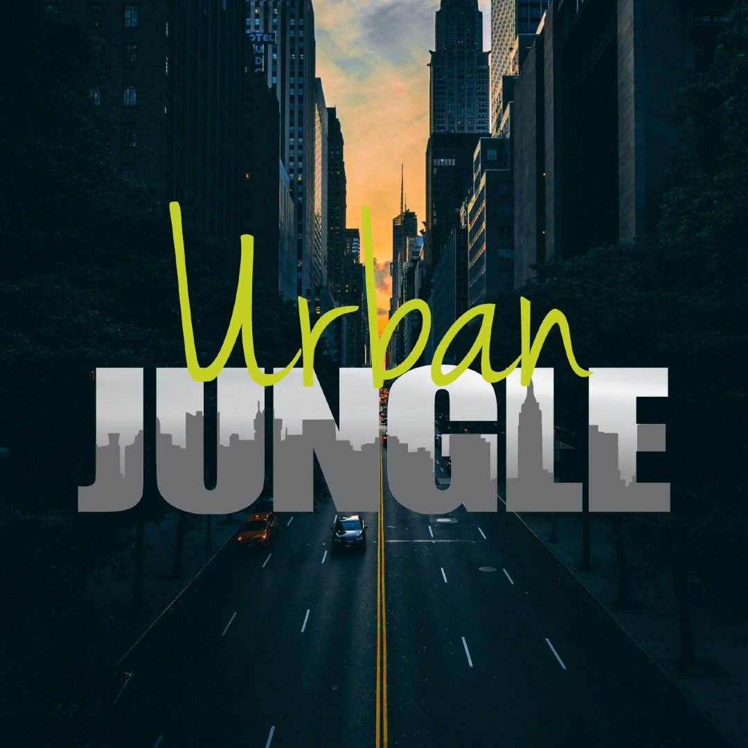 Helping families find the right urban #NeighborhoodFirst… then the perfect home. We’re your free #LifeSTYLE advisory service. #UrbanJungle 🏡 @suburbanjungleinc