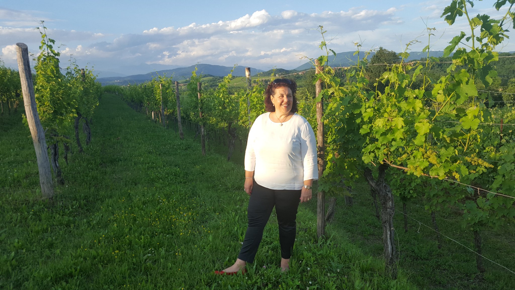 manchiaro's profile picture. @FVGLIVE #FRIULIVENEZIAGIULIA #PROMOTURISMOFVG #IOSONOFRIULIVENEZIAGIULIA