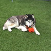 Terry matthew (@terrymatthew13) 's Twitter Profile