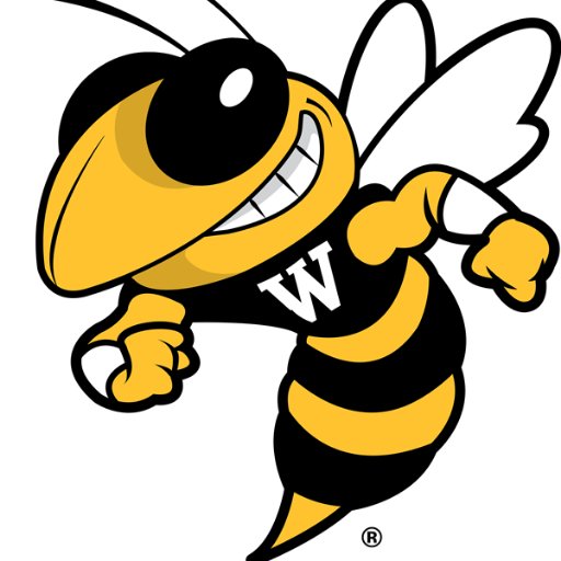 Wilson Middle School CB Profile