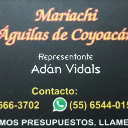 Mariachiaguila5's profile picture. 😎