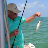 Captain Dick (@captaindick12) 's Twitter Profile Photo Captain Dick (@captaindick12) 's Twitter Profile Photo
