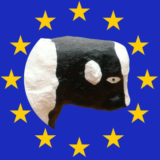 Just some local bovine MK residents concerned about Brexit. We did say at the time. They/them 🐄🇪🇺 #RejoinEU #LoveMK #ToriesOut #MigrantsWelcome