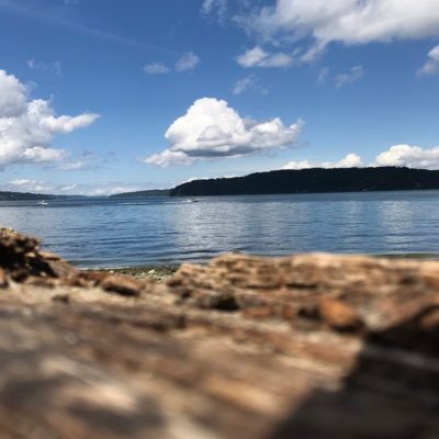 DraggonetteMae's profile picture. 