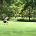 Pulaski Girls Golf (@pulaskigolfgang) Twitter profile photo Pulaski Girls Golf (@pulaskigolfgang) Twitter profile photo