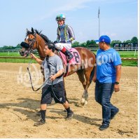 Carrasco Racing Stable (@carrasco_racing) 's Twitter Profile Photo Carrasco Racing Stable (@carrasco_racing) 's Twitter Profile Photo
