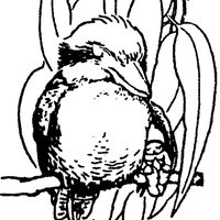 May Gibbs Children's Literature Trust (@mgchlittrust) 's Twitter Profile