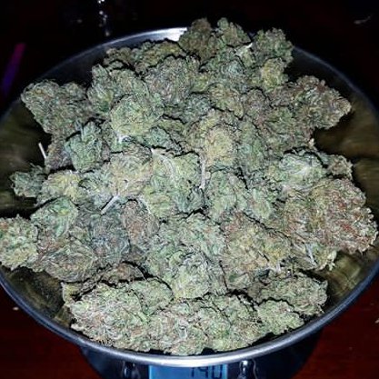 You can buy recreational #cannabis online use our social #cannabis shopping w/home delivery