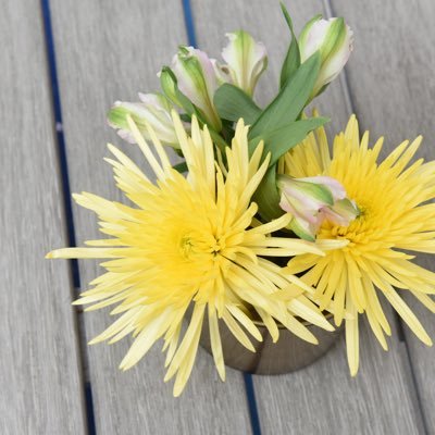 Wedding/Event Planners + Design Stylists. Décor Experts blogging tips & treasures for the refined decorator at heart!
