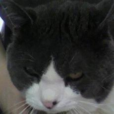 rundian's profile picture. ふらふらする、漫画バカ。ナンセンス漫画を特に好む。そこに愛があれば漫画は面白くなるから堪らない。極稀にHENTAI成分を含みます。ご注意を。