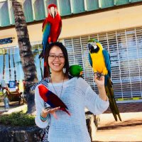 Yiqun Wang (@yiqunwang3) 's Twitter Profile