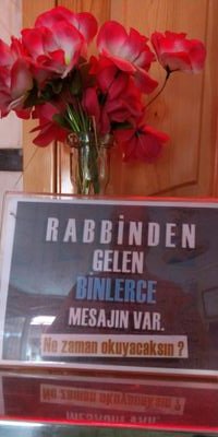 EnesErc20216667's profile picture. Sağlık