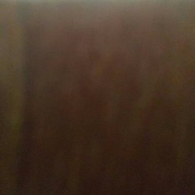 quietwindblows's profile picture. 